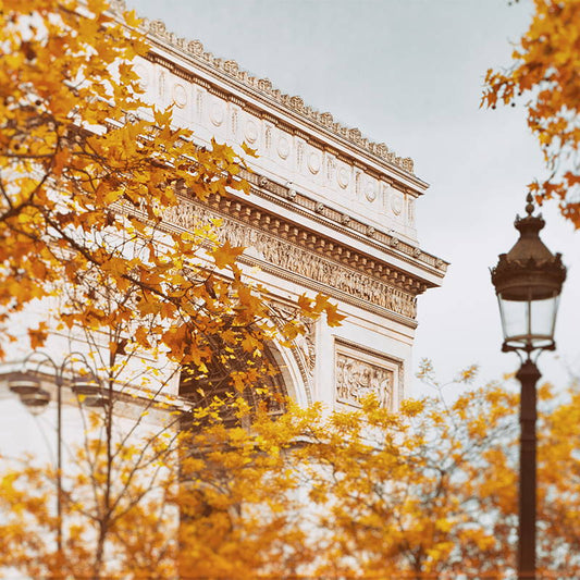 The Jouer Team's Must-Have Essentials For Fall