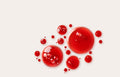 Rose Hip Oil